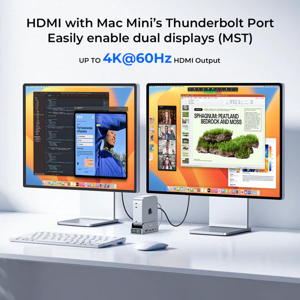RayCue SmartDock Pro for Mac Mini (US Plug)-5